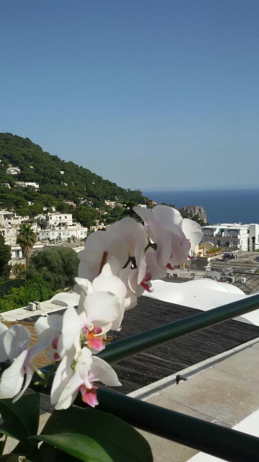 Hotel Casa Costanza Capri Zewnętrze zdjęcie